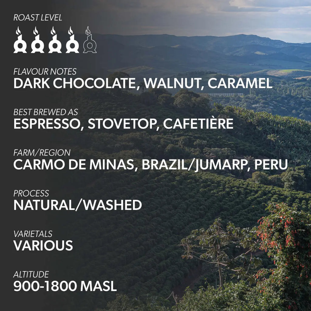 Chimney Fire Americas Coffee Beans - Dark Chocolate, Caramel, Walnut