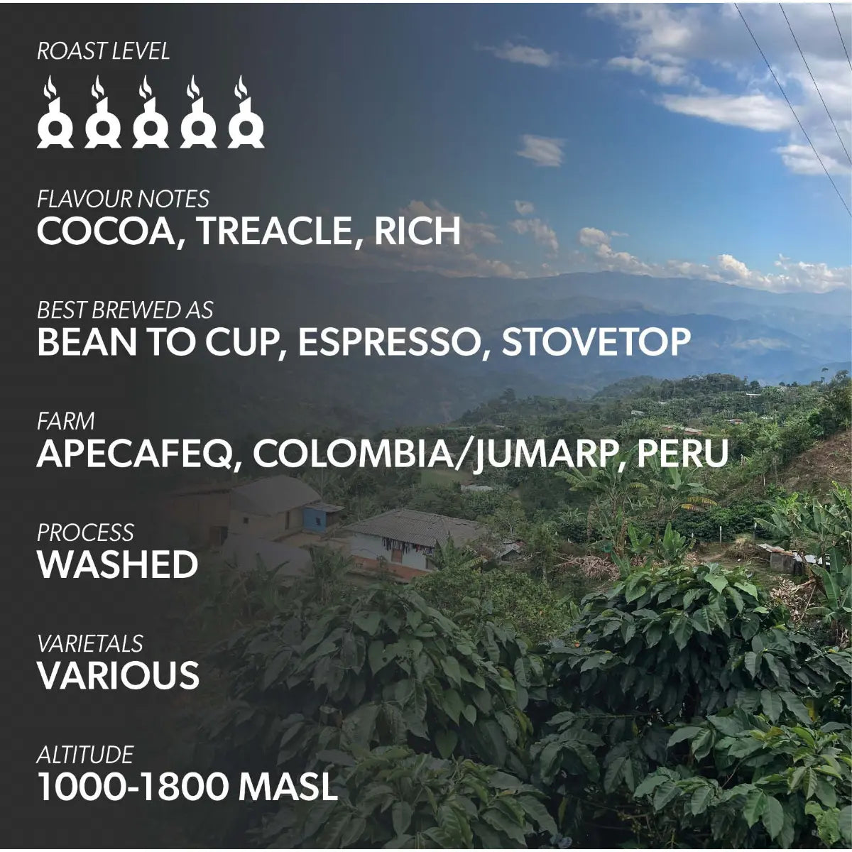 Chimney Fire Revival Coffee Beans - Cocoa, Treacle, Rich
