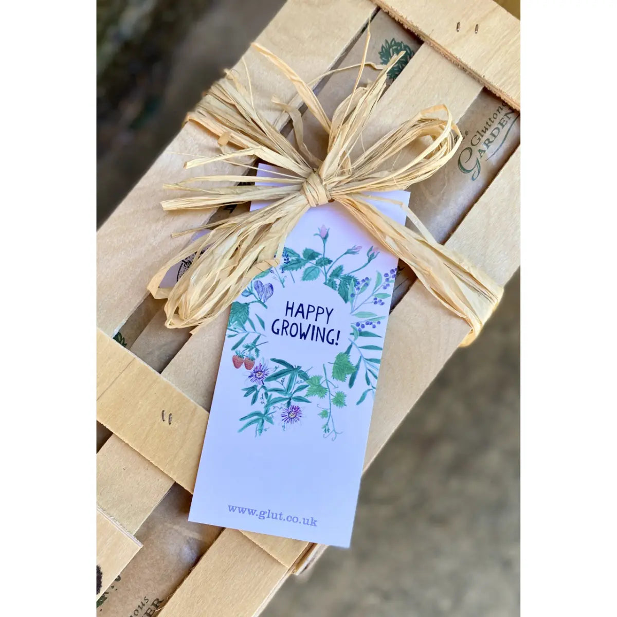 Free Coffee Plant With Your Order