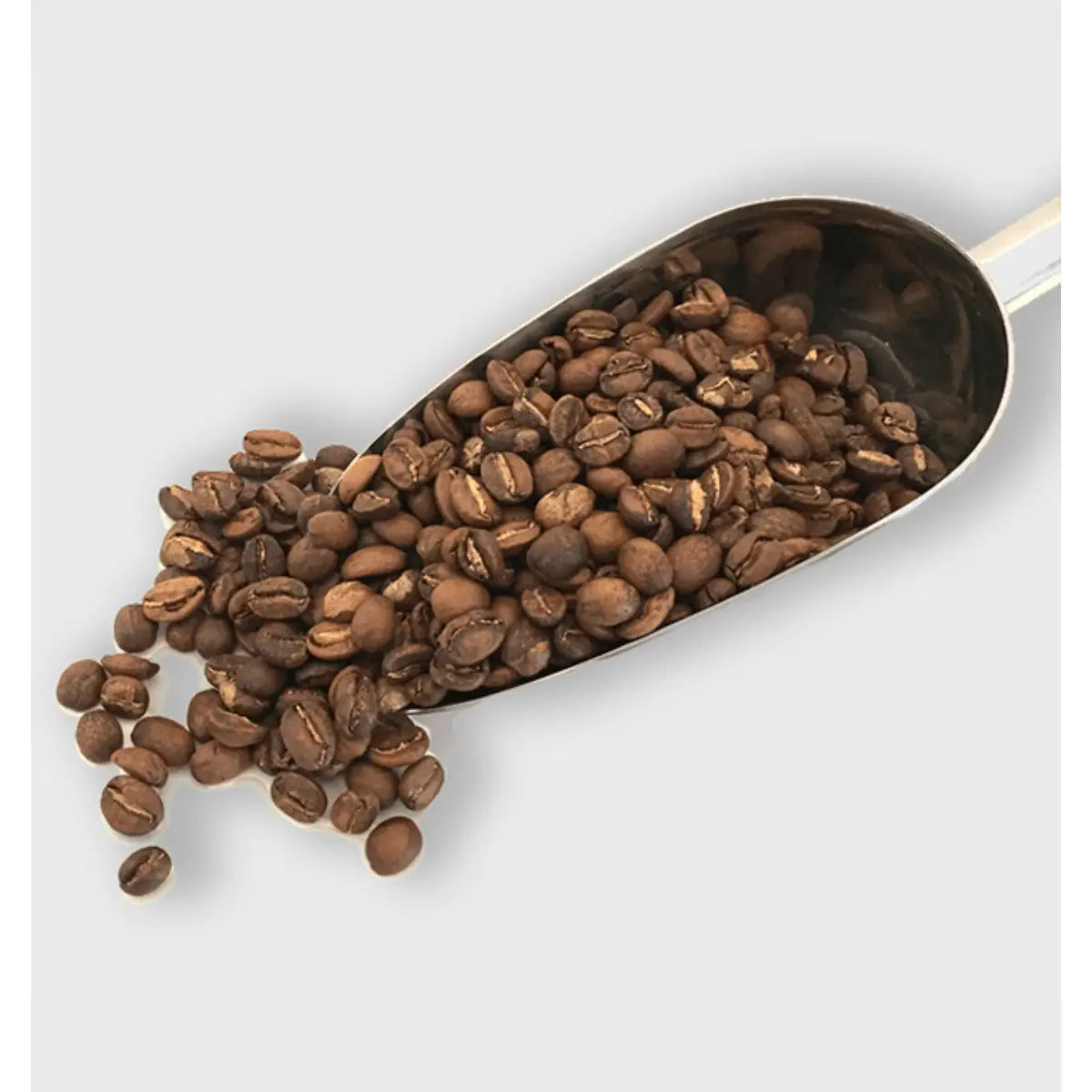 MONT58 Bolivia Single Origin Coffee Beans