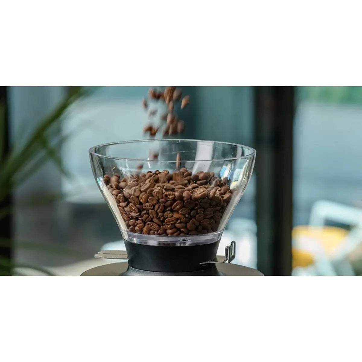 Mahlkonig X54 All Round Espresso Grinder 54mm Burrs