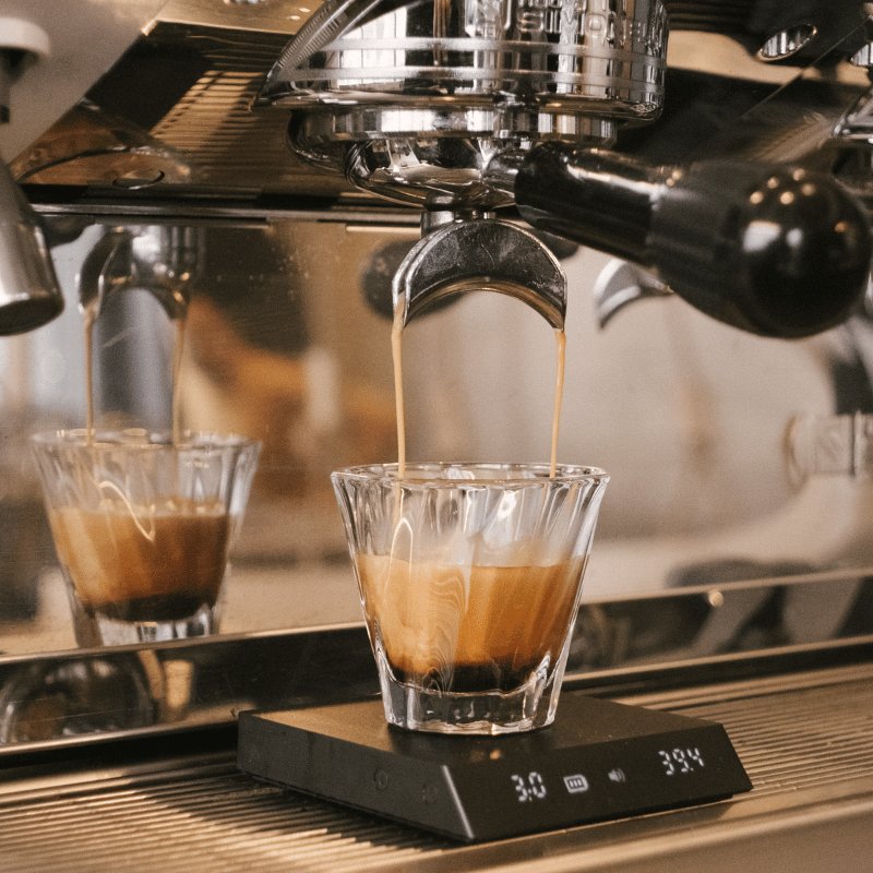 CREM 1st Year on Site Warranty for Traditional Espresso