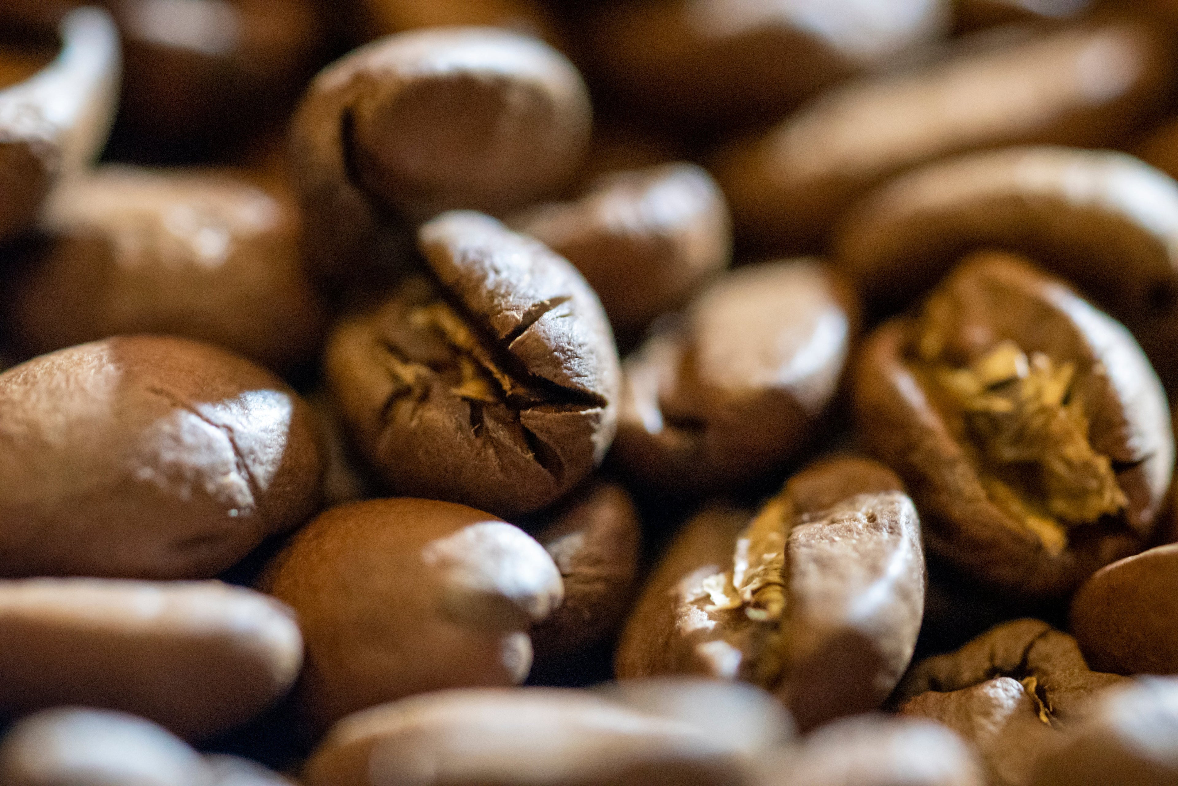 MONT58 Columbia Single Origin Coffee Beans