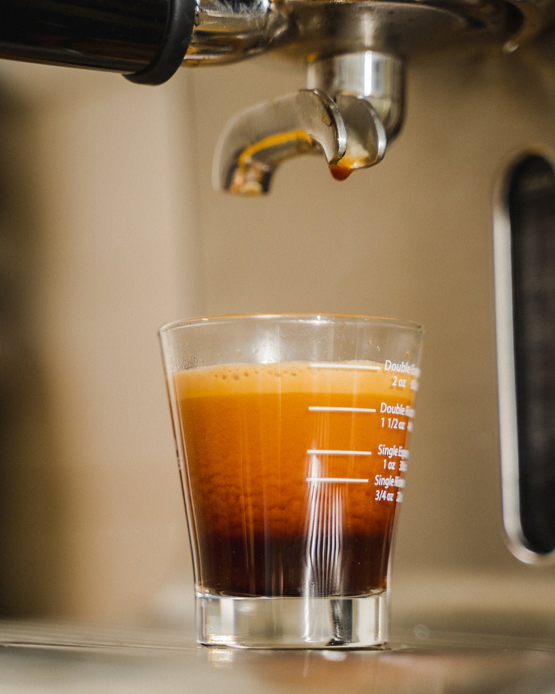 MONT58 Ethiopia Single Origin Coffee Beans